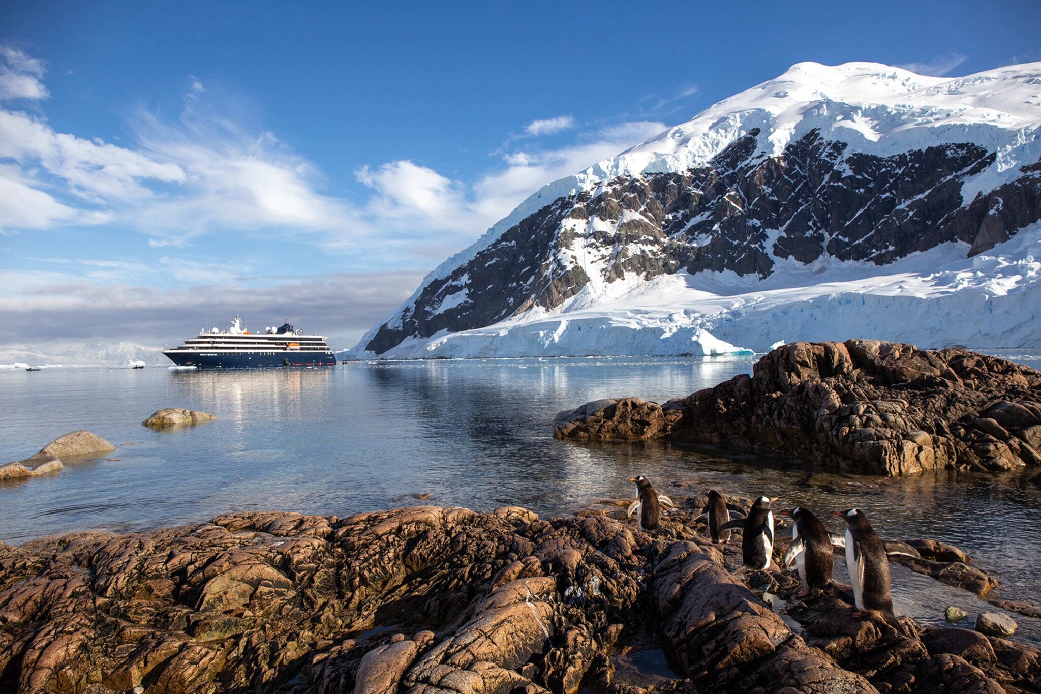 An expedition ship in an Antarctic cove with penguins gathered on the rocky shore